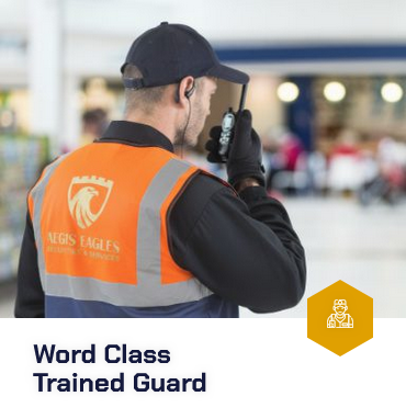 SIA-Licensed Security Services