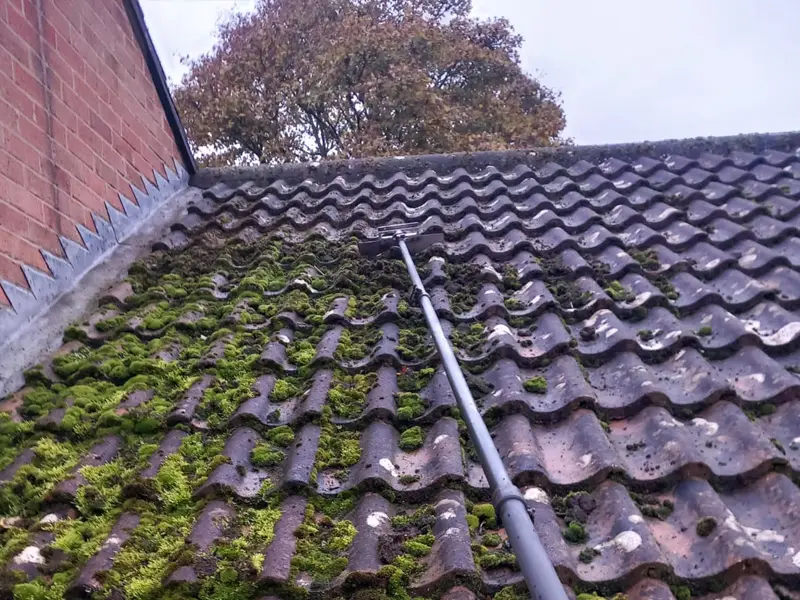 Professional Exterior Cleaners