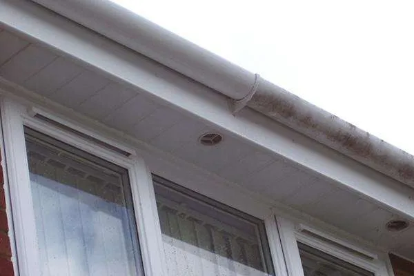 Gutter Clearance Services