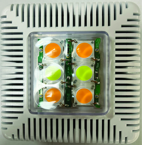 Fog Bandit Standalone Flash Unit