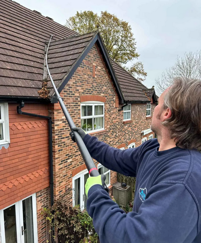 Roof Cleaning & Moss Removal