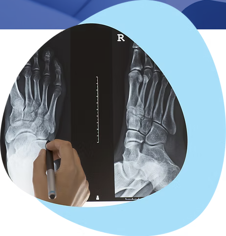 X-Ray Scanning Services at IDSL