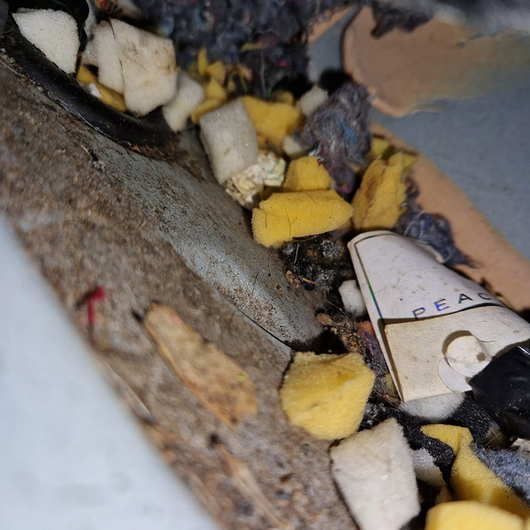 Commercial Pest Management Services