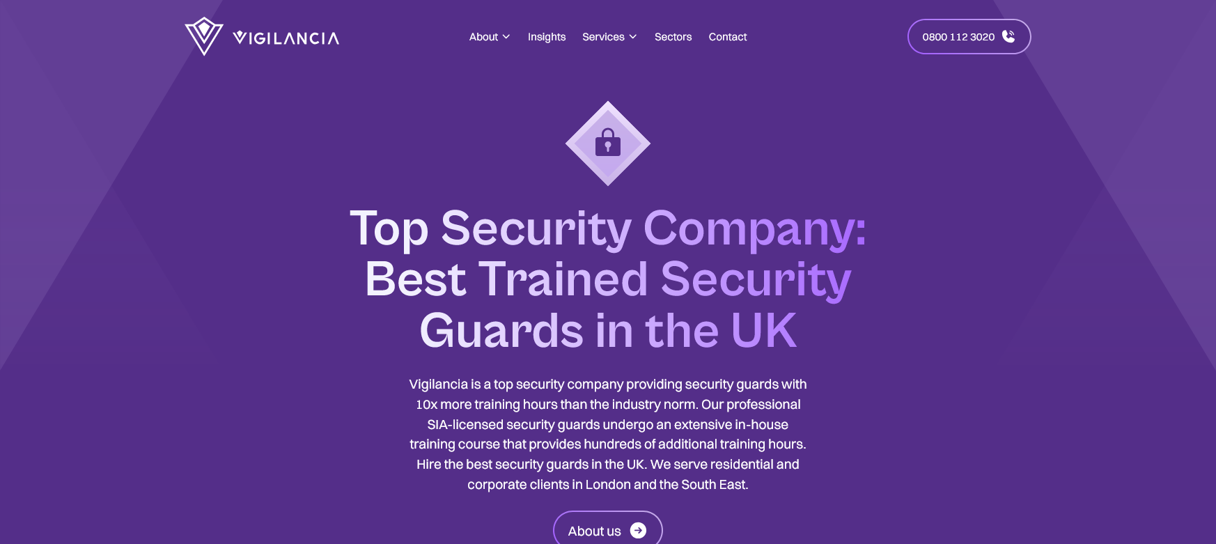 Vigilancia Website Screenshot 001