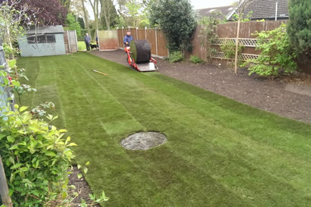 Big Roll Turf System