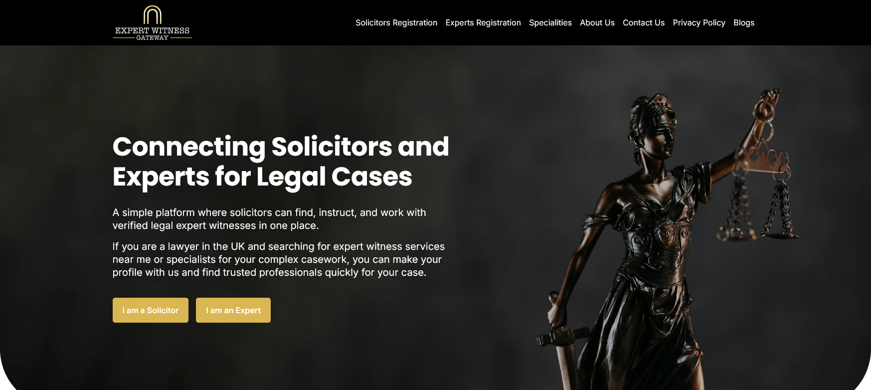 Expert Witness Gateway Website Screenshot 001