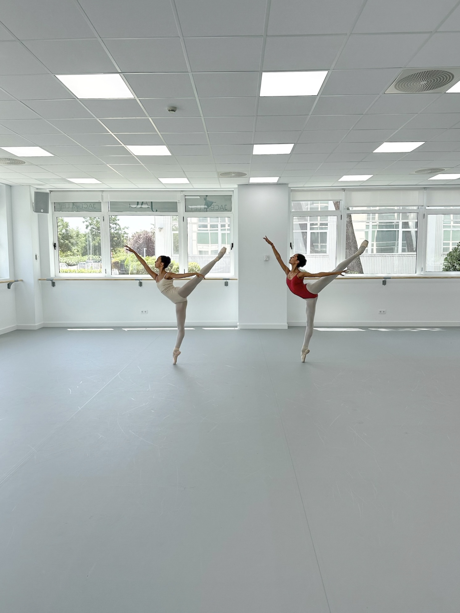 JacBallet Professional Ballet and Dance Academy: Training the Next Generation on Harlequin floors