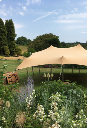 Stretch Tent