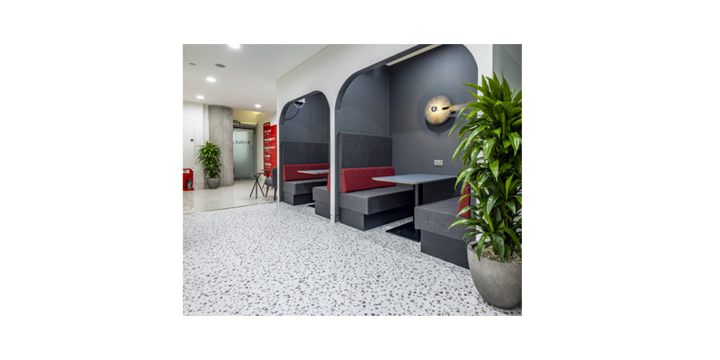 Greenery and Group Work: How Plants Encourage Collaboration in Offices