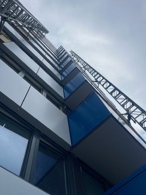 Pestpro Bird Solutions Commences Major Bird Proofing Project in Hounslow