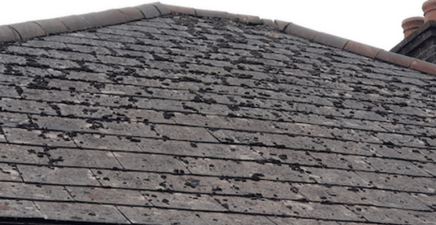 Asbestos Roof Removal Experts