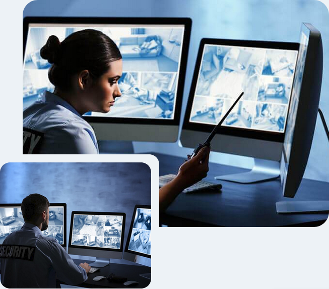 Surveillance Services