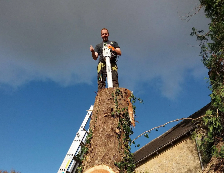 Crown Reduction Services