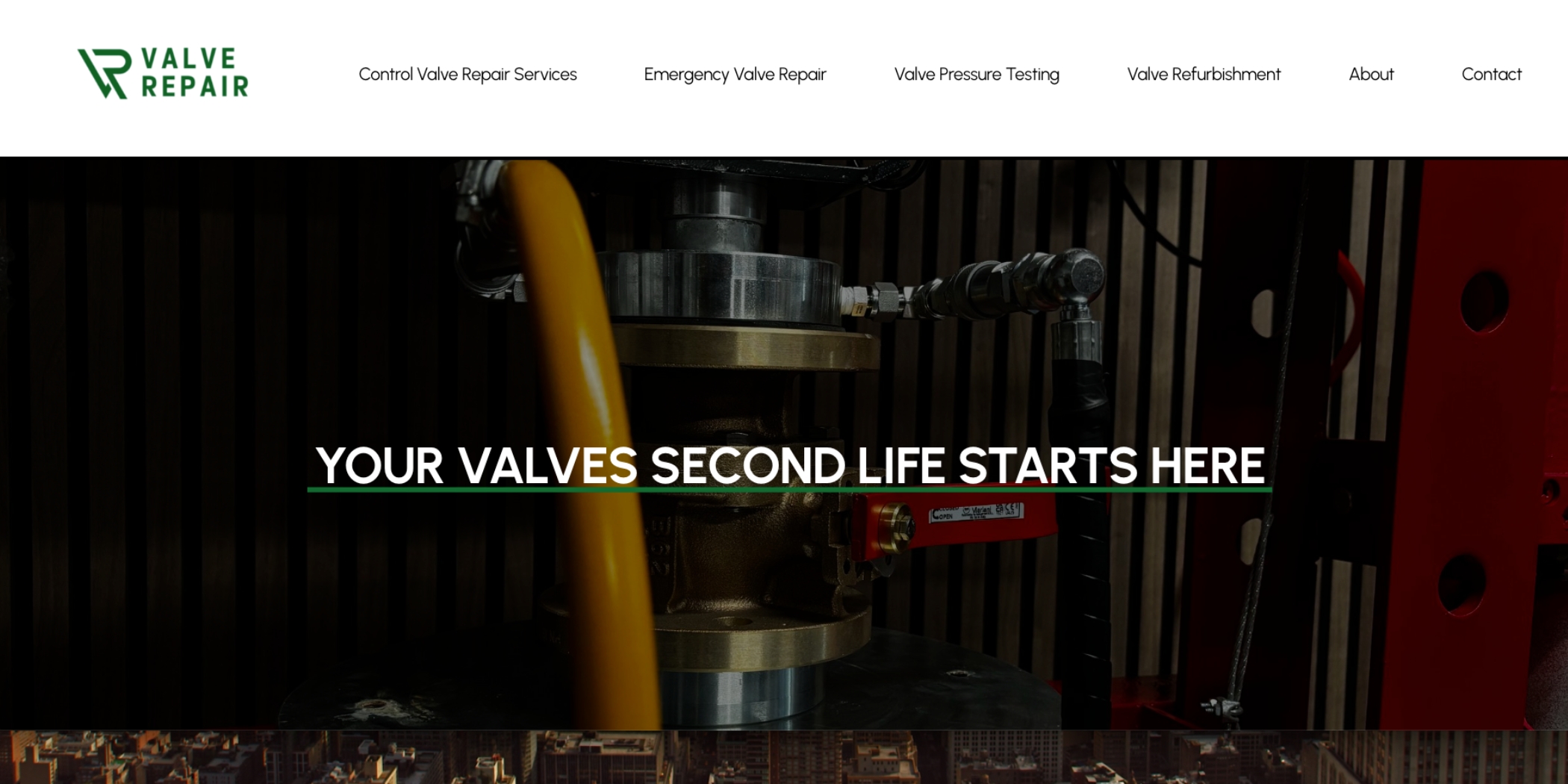 Valve Repair Website