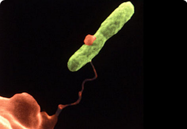 Legionella Risk Assessment North West