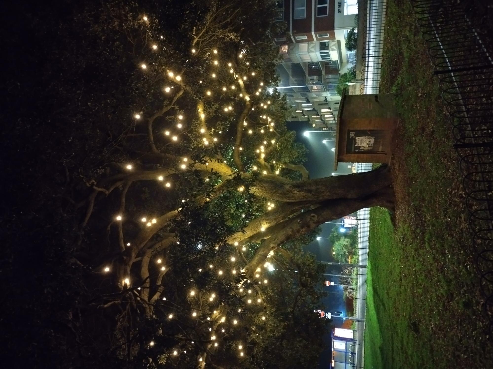 Lumsiphere Festoons Used for Tree Lighting