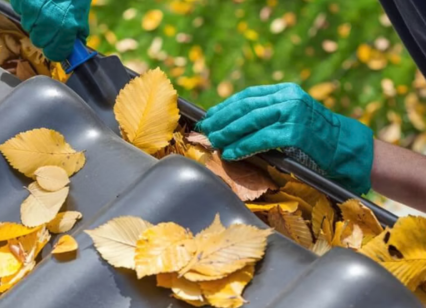 Gutter Cleaning London UK