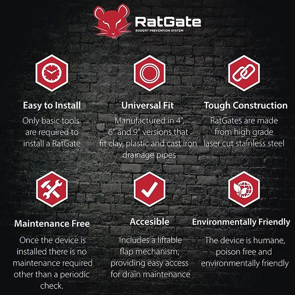 Emergency Pest Infestation Treatment Services