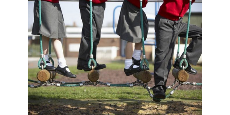 Setter Play Ltd Picture