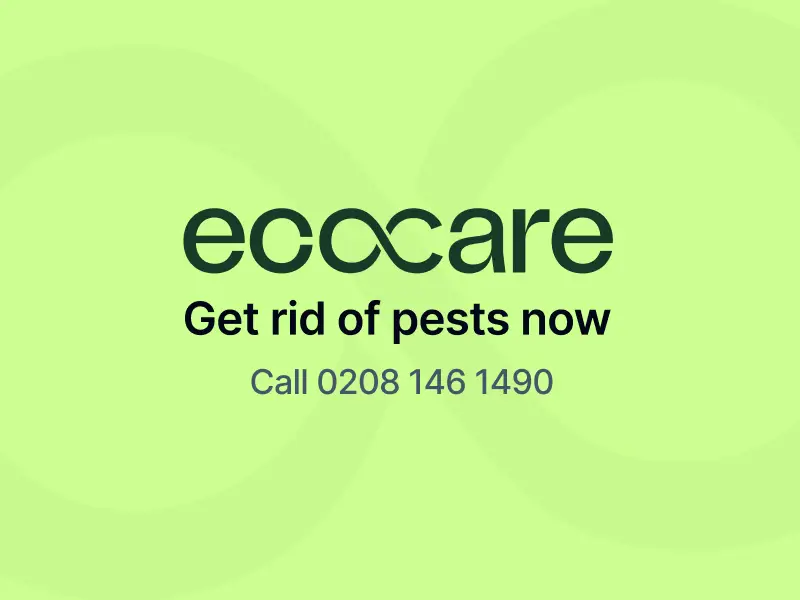 professional pest control services across London