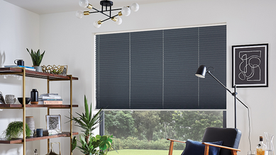 Pleated Blinds