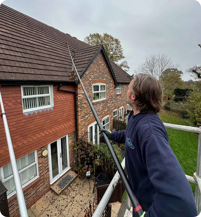 Roof Cleaning Services