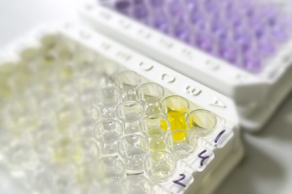 Biosimilars: Development & Regulatory Strategies