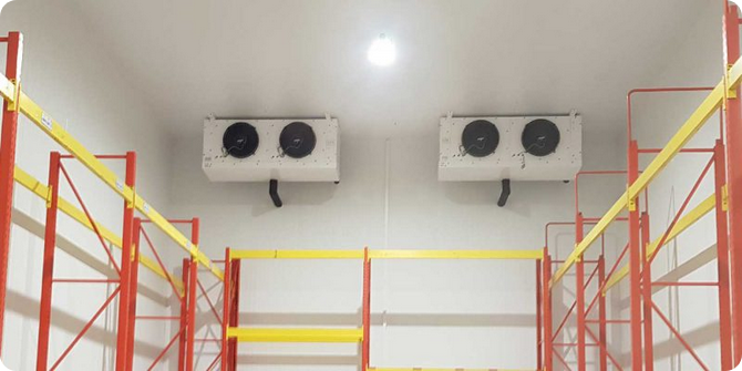 Case Studies: L Shape Wholesale Freezer