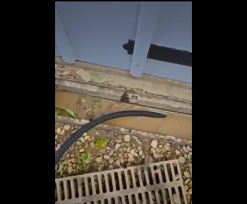 Bourne Drainage Services