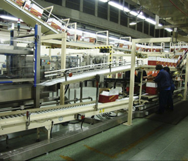 Full Turnkey Project Services 