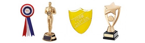 School Trophies, Badges, Cups and Medals