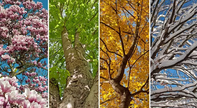 What is a Seasonal Lease?