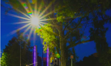 Hassans International Law Firm - Lawyers