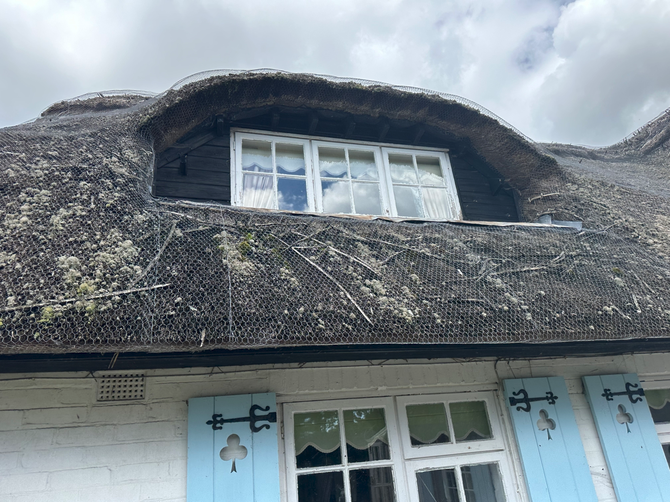 Case Study: Surveying & Restoring a Medieval Cruck Frame Property in Hampshire