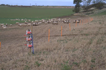 500m - Standard Three Reel System - Polywire (6 Strand)
