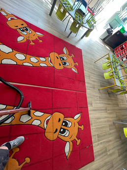 Carpet Cleaning Services