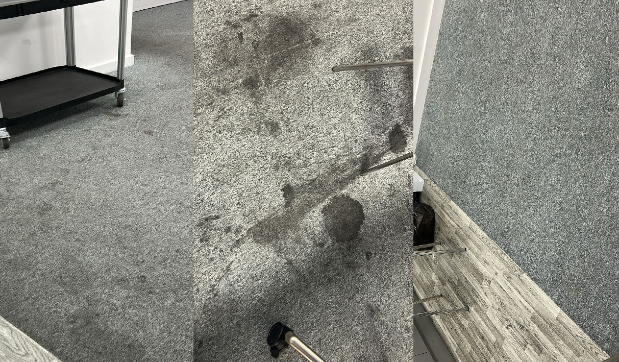 Hot Water Carpet Extraction Clean