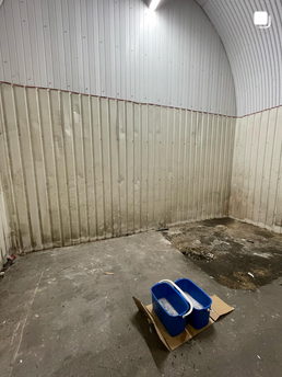 Building Exterior Cleaning Services