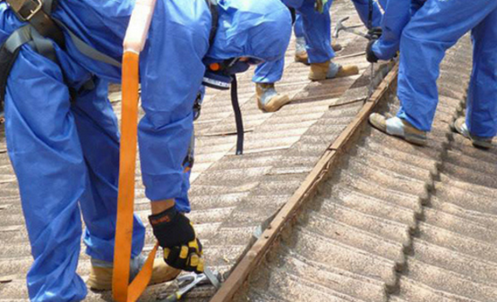 Asbestos Removal Services
