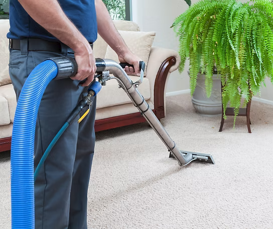 Soft Furnishings & Floor Care