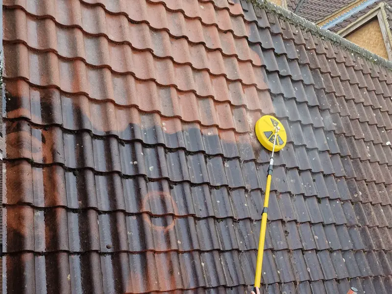 Roof Cleaning Services
