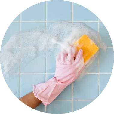 Home Cleaning Services
