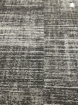 Carpet Cleaning Services