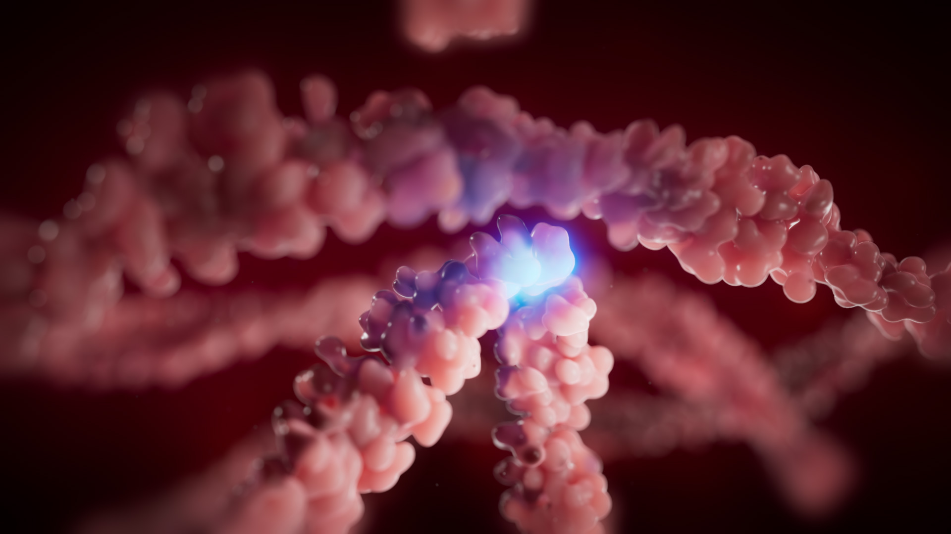 3D medical animation showing a molecular interaction between complex protein structures, highlighting a binding site at the molecular level.