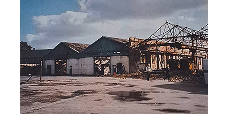 30 Years On: From Ashes to Burning Bright