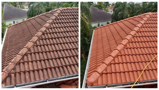 Soft Wash Roof Cleaning Portsmouth