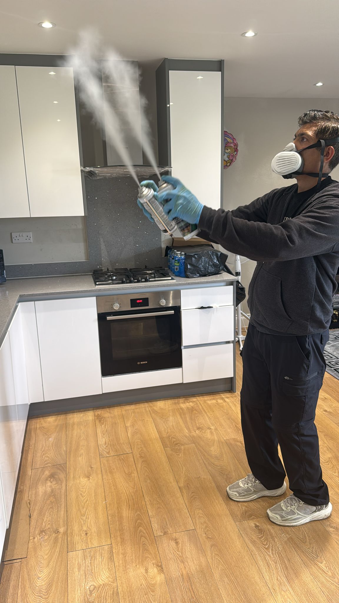 Modern Pest Control London