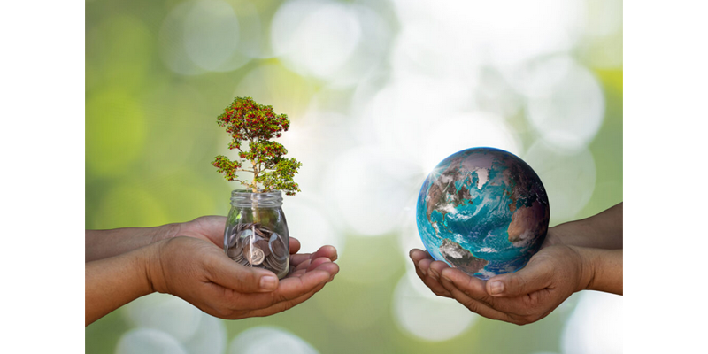 Top Tips for Managing Biodiversity for Environmental Practitioners