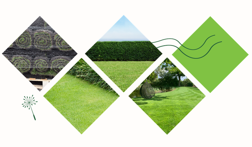 Lawncare in Norfolk