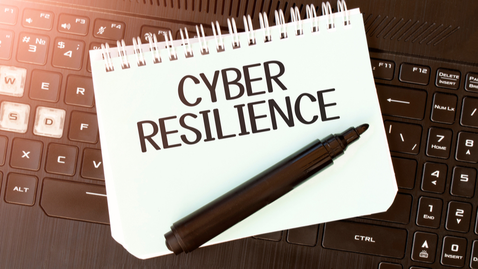 Cyber Resilience covers technical AND people controls